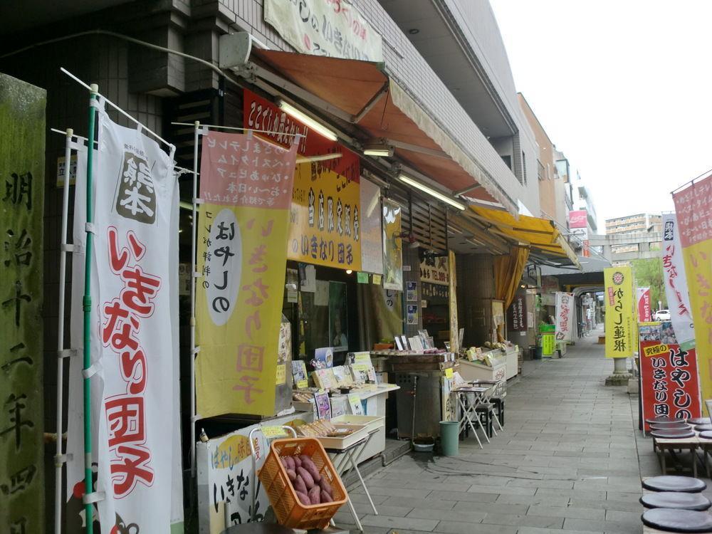 Suizenji Comfort Hotel Kumamoto Kültér fotó